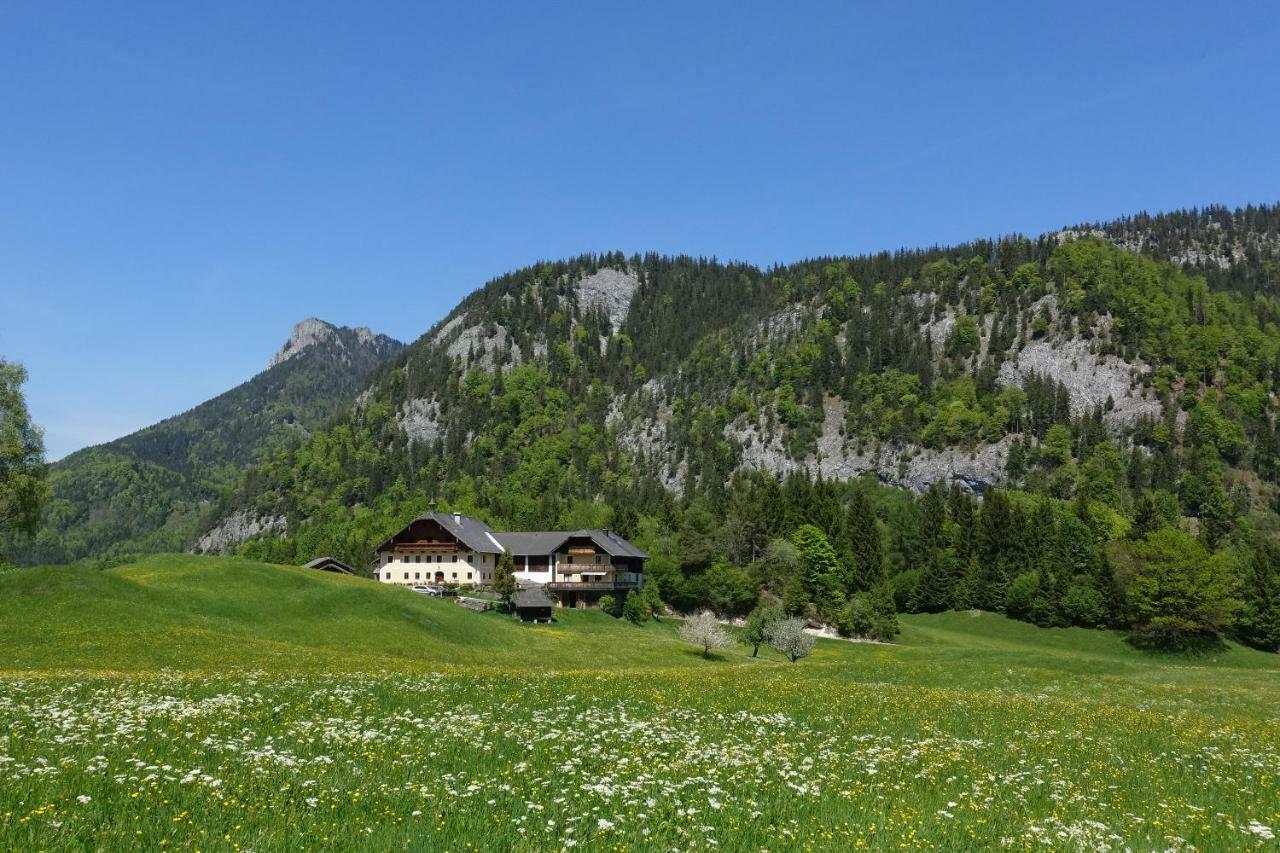 Urlauben Im Grünen Bauernhof *