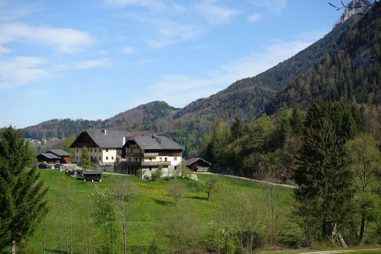 Urlauben Im Grünen *